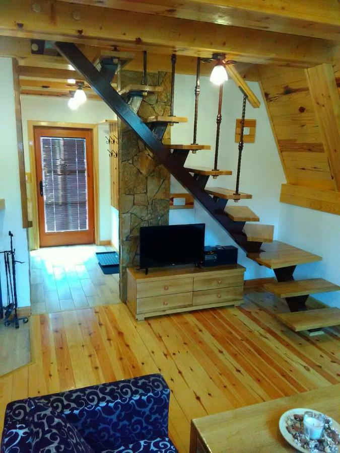 Mountain House Tadic 1 Villa Bajina Basta Ngoại thất bức ảnh
