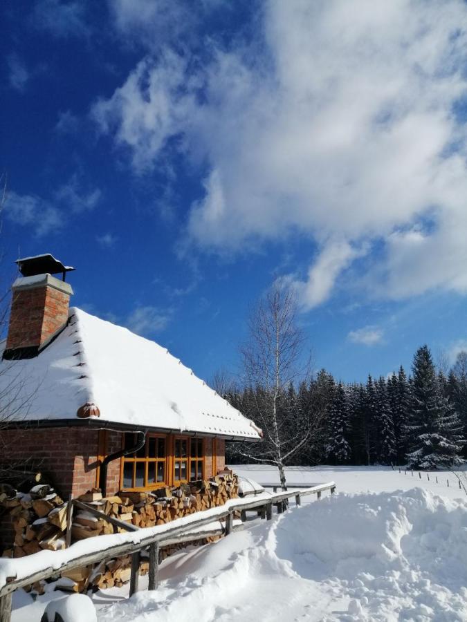 Mountain House Tadic 1 Villa Bajina Basta Ngoại thất bức ảnh